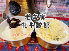 -老牟家牦牛酸奶