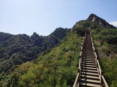 -大岭沟猕猴桃谷风景区