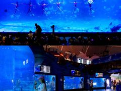 -烟台海昌鲸鲨海洋公园