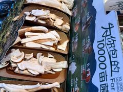 -芸山季·云南山珍菌火锅(人民广场来福士店)