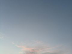 -岳各庄批发市场(西四环中路店)