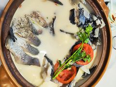 -全乐鱼馆·淳牌有机鱼直营店