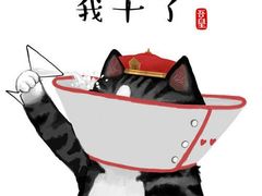 -微笑时刻照相馆·企业合影·商务外拍(北京五道口店)