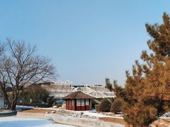 -北京世界公园