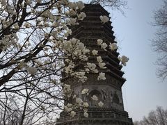 -玲珑塔公园