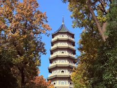 -灵谷景区
