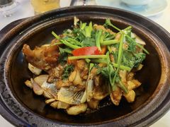 嘟嘟鱼头煲-海逸海鲜酒家(古北店)