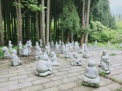 -武陵山森林公园