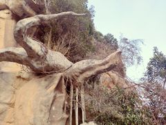 -嵖岈山风景区