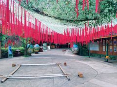-西双版纳原始森林公园