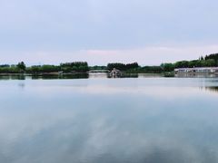 -大兴滨河森林公园