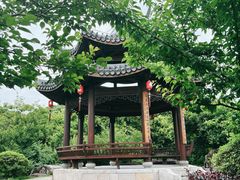 -江心屿景区