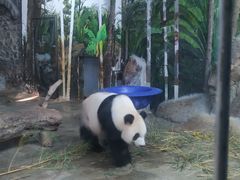 -海南热带野生动植物园