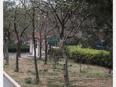 -青岛中山公园-索道售票处