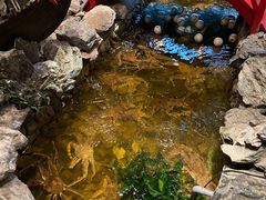 -綱元·海鲜豆捞(明州里店)