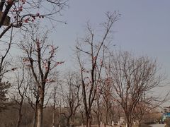 -西安汉城湖景区