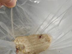 瑶柱叉烧蛋黄咸肉粽-粽氏清源(大南路店)