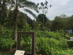 -新加坡明古连奥克伍德酒店