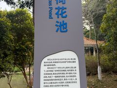 -火炉山森林公园