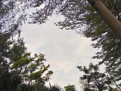 -莲香西域·正宗新疆菜(龙华店)