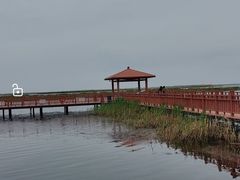 -乌梁素海景区