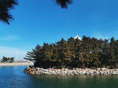 -莫内艺术岛海景咖啡