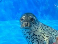-成都浩海立方海洋公园