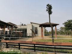 -石家庄市动物园