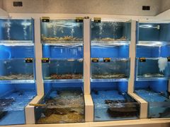 -赶海部落海鲜城(海阳路店)