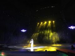 -灵玲国际马戏城