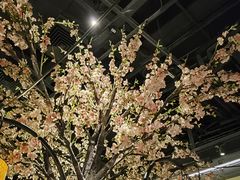 -绿茶餐厅(昌平悦荟店)