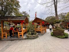 -青城甲(青城山店)