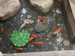 -南堂館川菜文化餐厅(天府店)