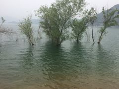 易水湖-易水湖景区