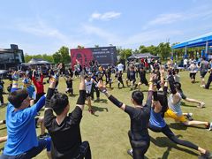 -春花秋色城市公园