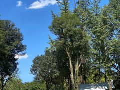 -三圣花乡旅游区