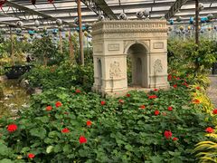 -南宫五洲植物乐园