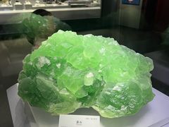 -湖南省地质博物馆