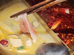 鸳鸯锅底-九鼎轩脆毛肚火锅(三钢里店)