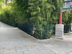 -红螺寺