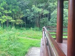 -兰亭风景区