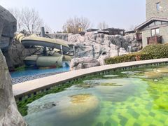 -北京乐多港万豪酒店汤乐宫温泉