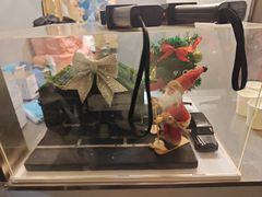 -Lostland交互式沉浸剧场