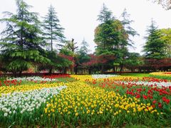 -上海鲜花港