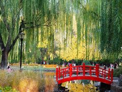 -玲珑塔公园