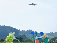 -空港花田景区