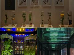 -广东中医药博物馆