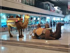 -敦煌莫高国际机场