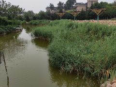 -绿岛公园(滨海新区)