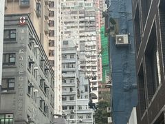 -Big Bus Tours 敞篷观光巴士